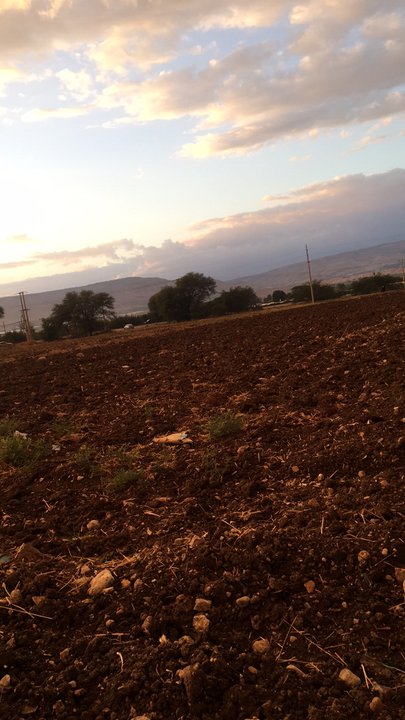 مشاركاتي في أنت الراصد