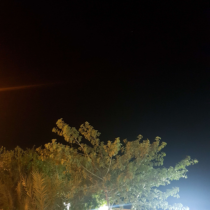 مشاركاتي في أنت الراصد