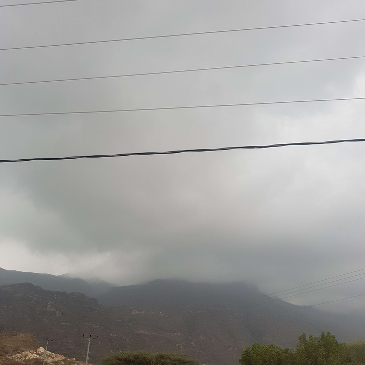 مشاركاتي في أنت الراصد