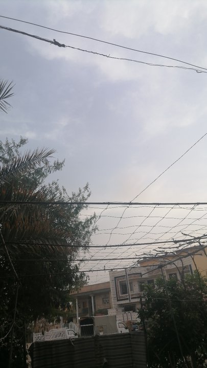 مشاركاتي في أنت الراصد