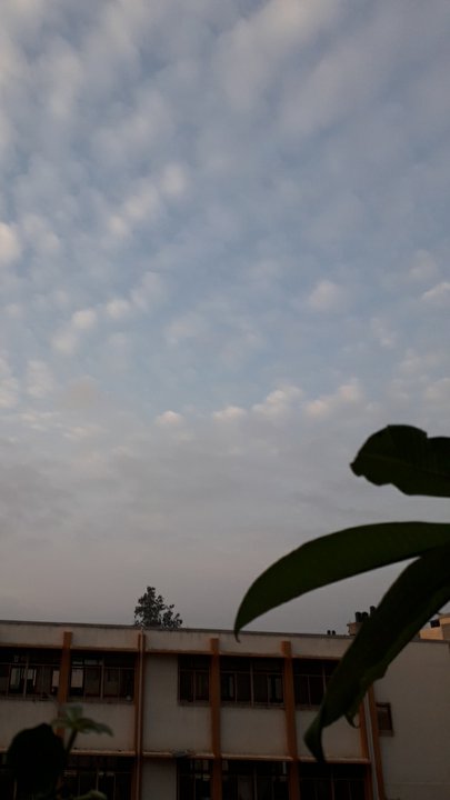 Mes publications Crowdsourcing