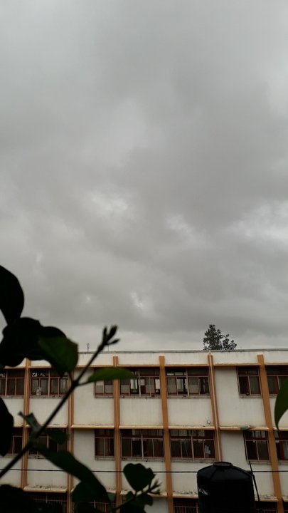 Mes publications Crowdsourcing