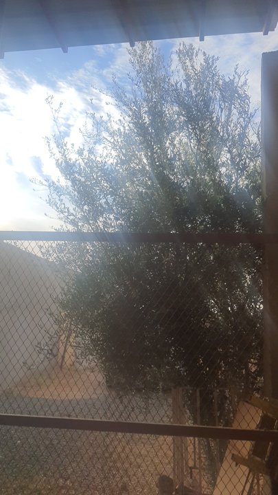 مشاركاتي في أنت الراصد