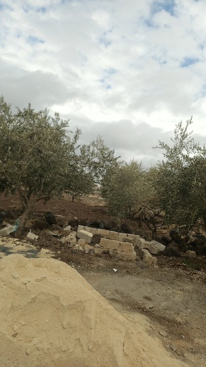 مشاركاتي في أنت الراصد