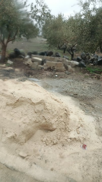 مشاركاتي في أنت الراصد