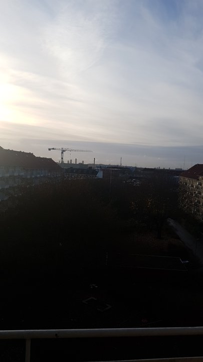 مشاركاتي في أنت الراصد