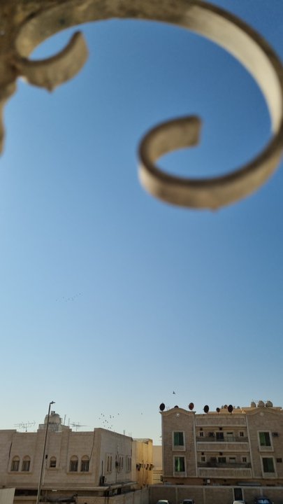 مشاركاتي في أنت الراصد