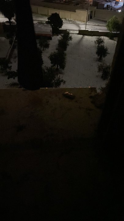 مشاركاتي في أنت الراصد