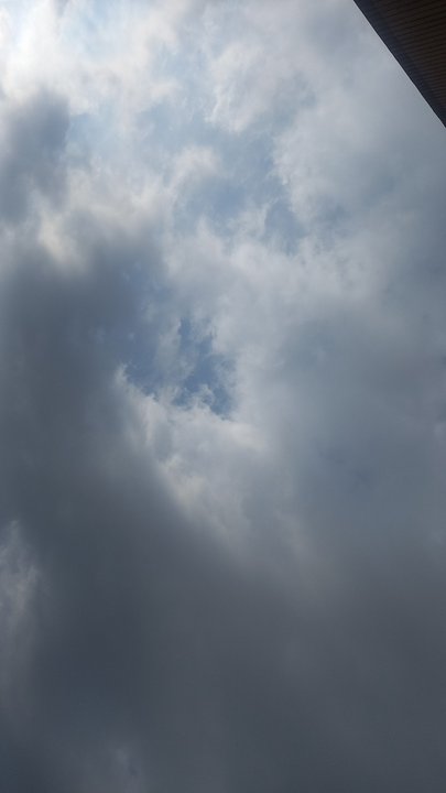 مشاركاتي في أنت الراصد