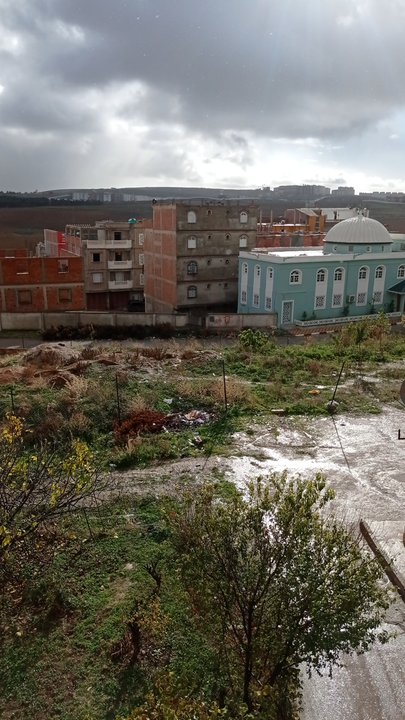 مشاركاتي في أنت الراصد