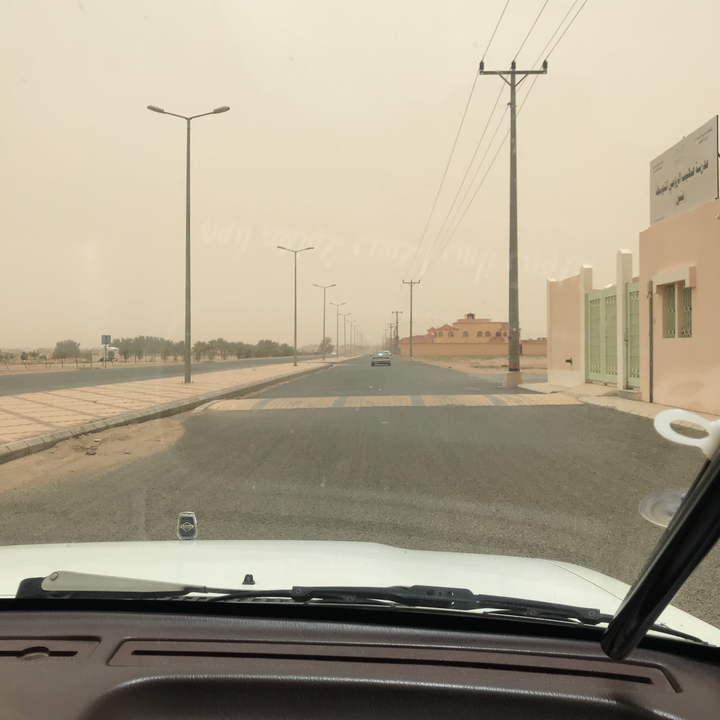 مشاركاتي في أنت الراصد