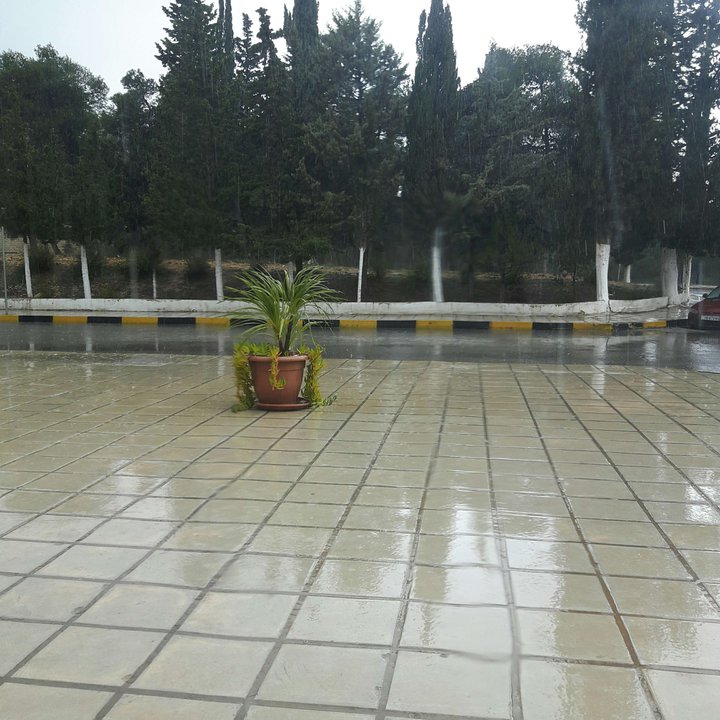 My Crowdsourcing Posts