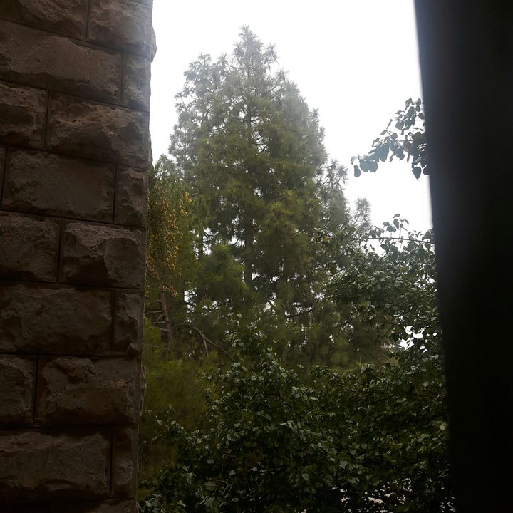 My Crowdsourcing Posts