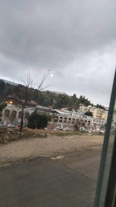 مشاركاتي في أنت الراصد