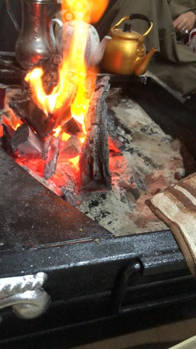 مشاركاتي في أنت الراصد