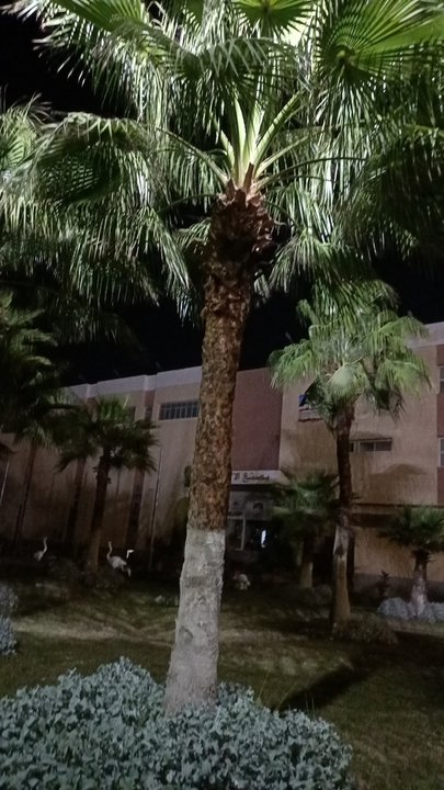 My Crowdsourcing Posts