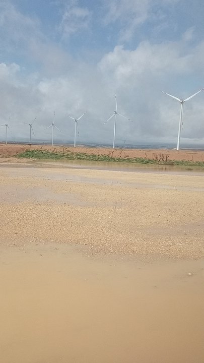 مشاركاتي في أنت الراصد