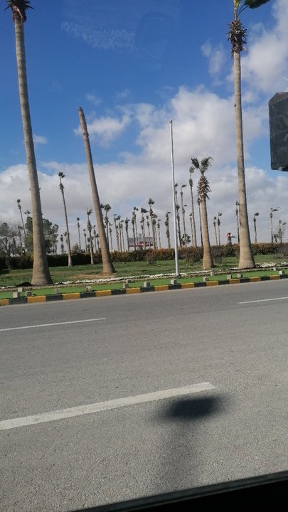 مشاركاتي في أنت الراصد