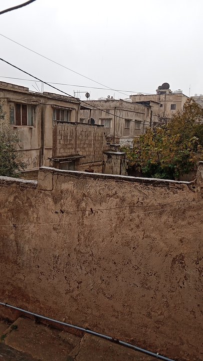 مشاركاتي في أنت الراصد