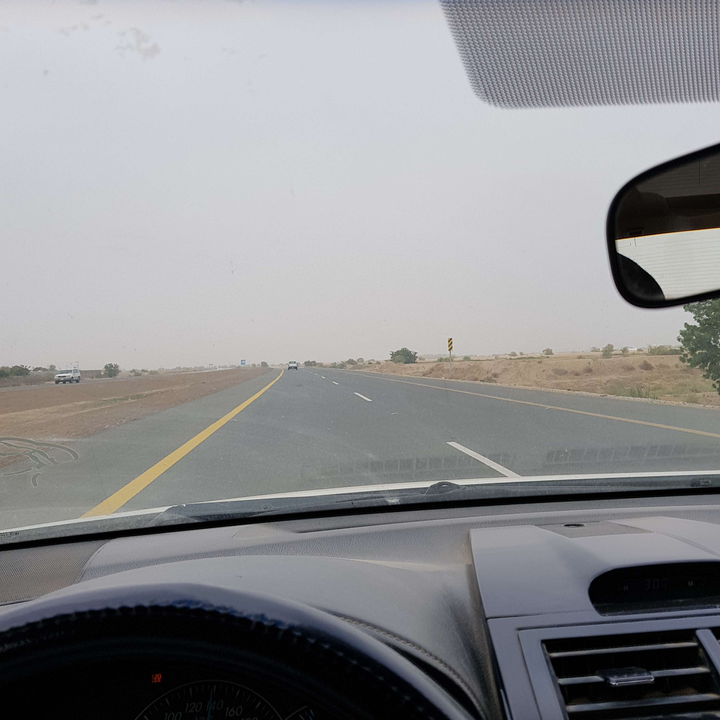 مشاركاتي في أنت الراصد