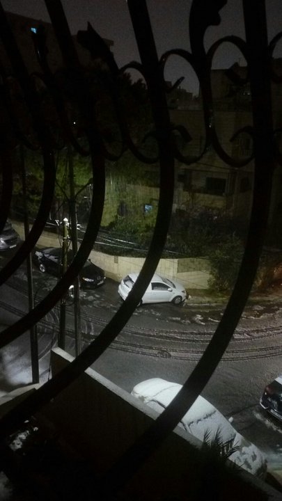 مشاركاتي في أنت الراصد