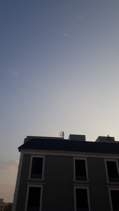 مشاركاتي في أنت الراصد