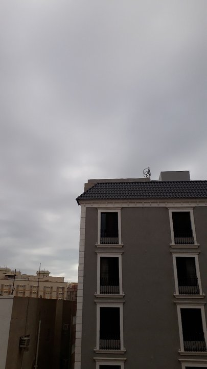 مشاركاتي في أنت الراصد