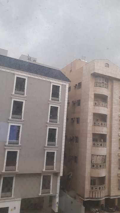 مشاركاتي في أنت الراصد