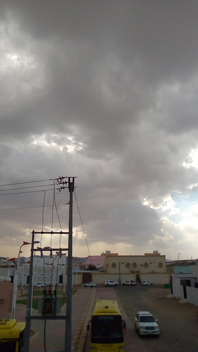 مشاركاتي في أنت الراصد