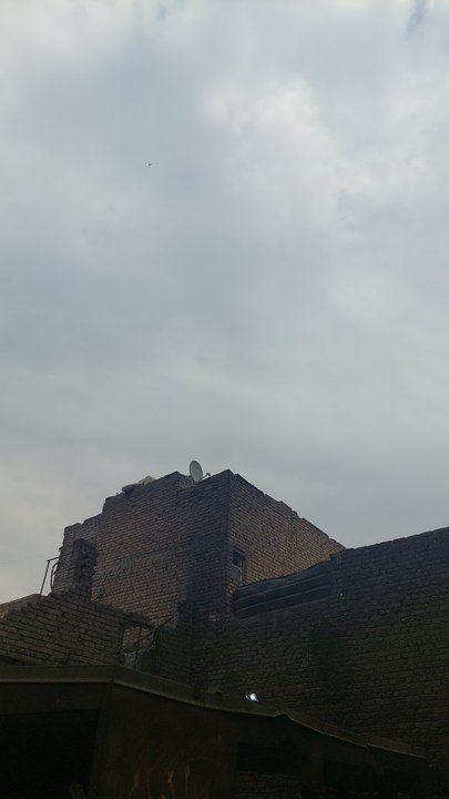 مشاركاتي في أنت الراصد