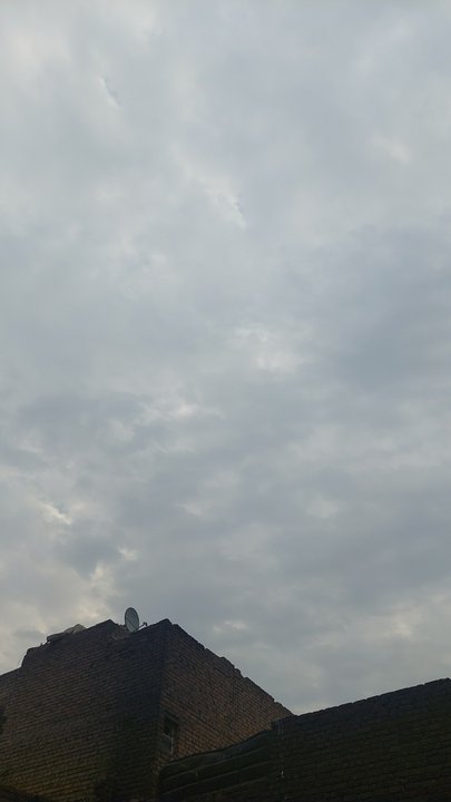 مشاركاتي في أنت الراصد