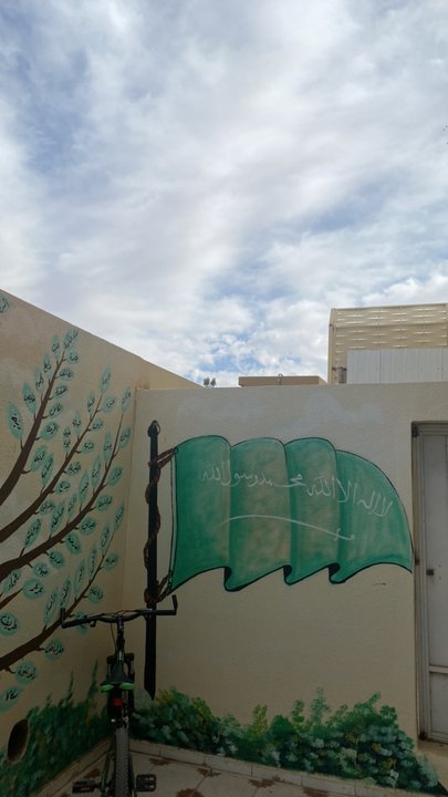 مشاركاتي في أنت الراصد