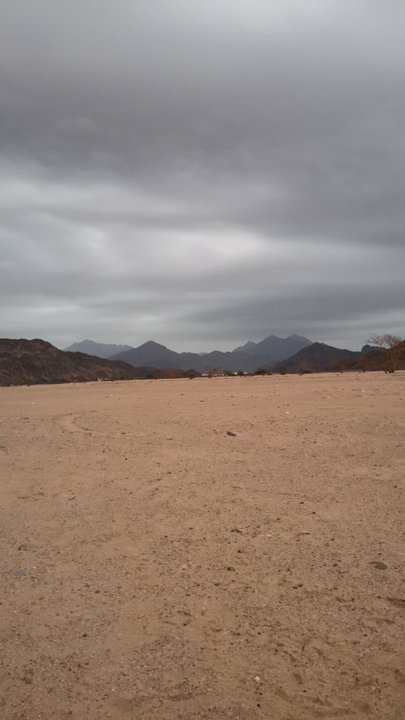 مشاركاتي في أنت الراصد