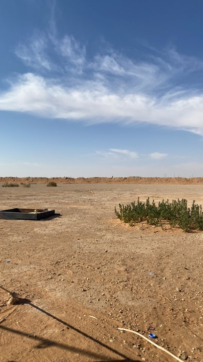 مشاركاتي في أنت الراصد