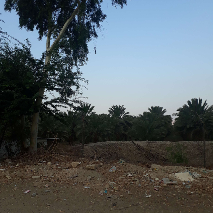 My Crowdsourcing Posts