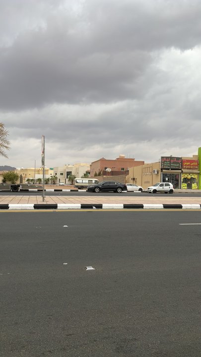 مشاركاتي في أنت الراصد