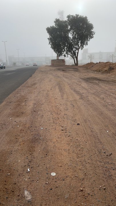 مشاركاتي في أنت الراصد