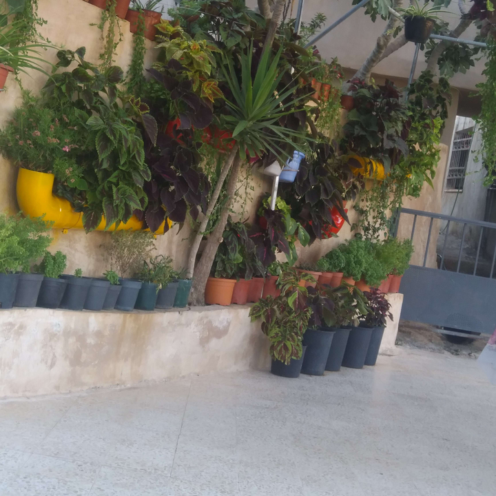 My Crowdsourcing Posts