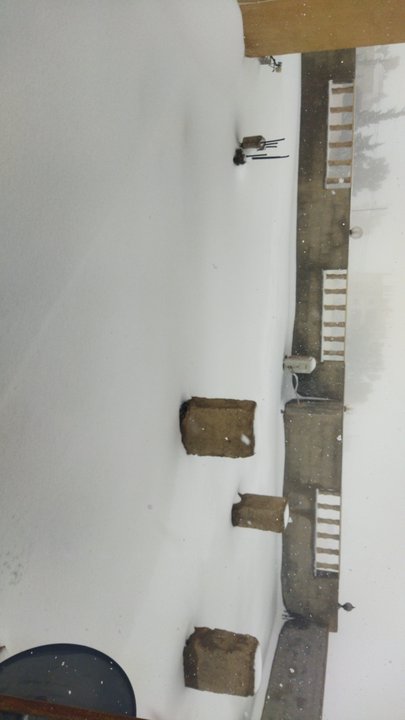 مشاركاتي في أنت الراصد