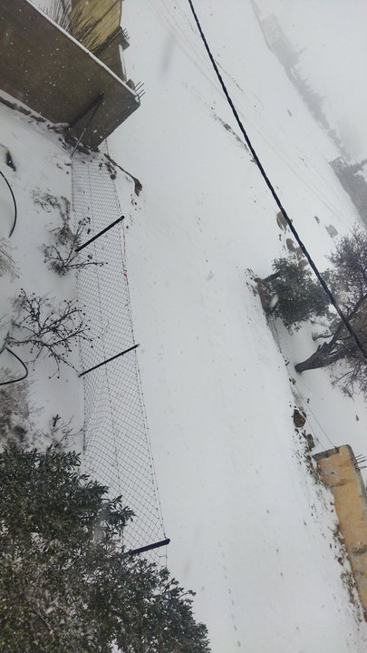 مشاركاتي في أنت الراصد