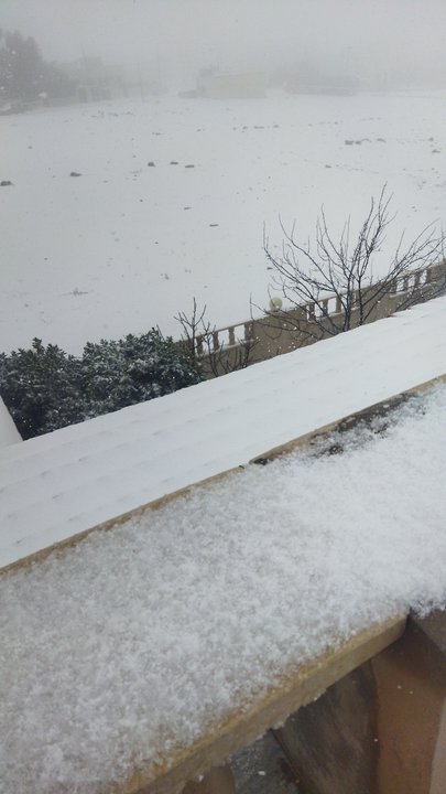 مشاركاتي في أنت الراصد