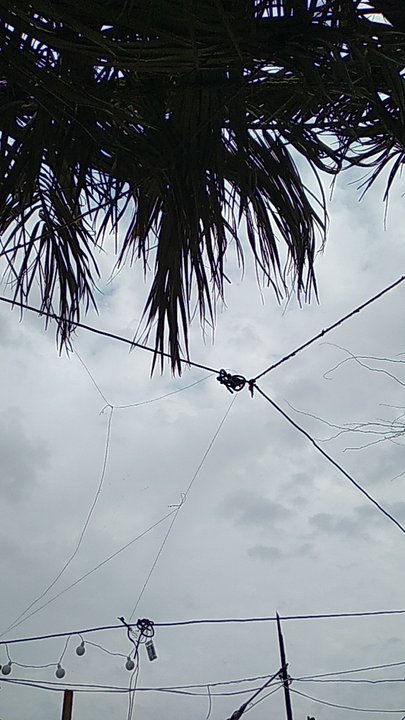 مشاركاتي في أنت الراصد