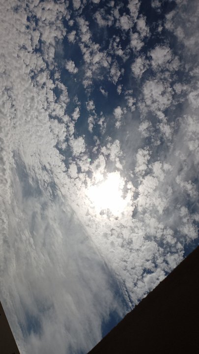 مشاركاتي في أنت الراصد