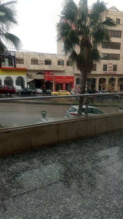 مشاركاتي في أنت الراصد