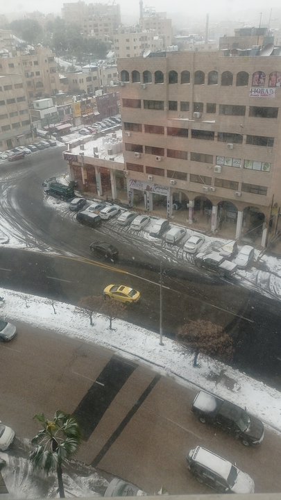 مشاركاتي في أنت الراصد