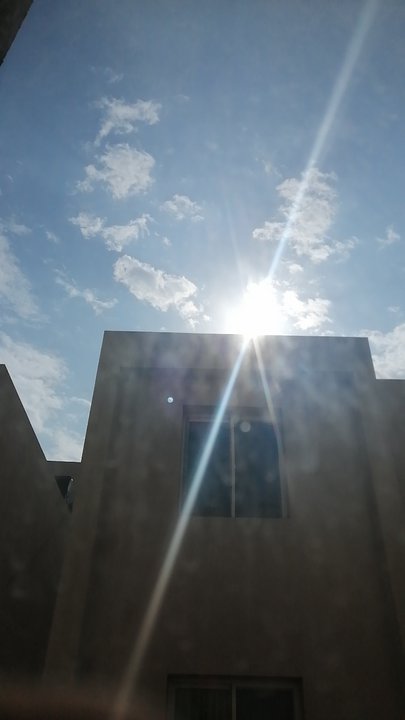 مشاركاتي في أنت الراصد