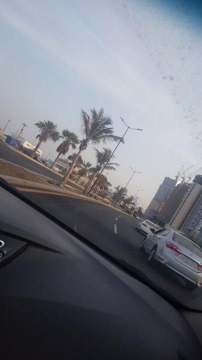 مشاركاتي في أنت الراصد