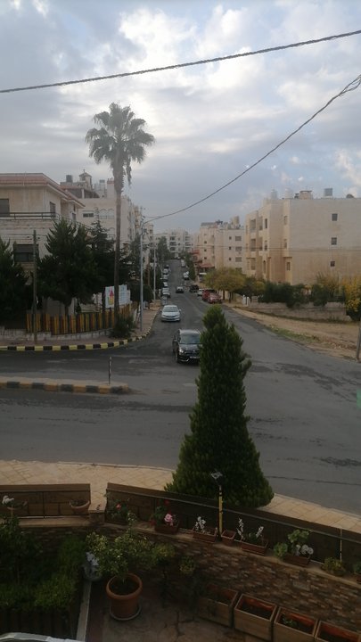 مشاركاتي في أنت الراصد