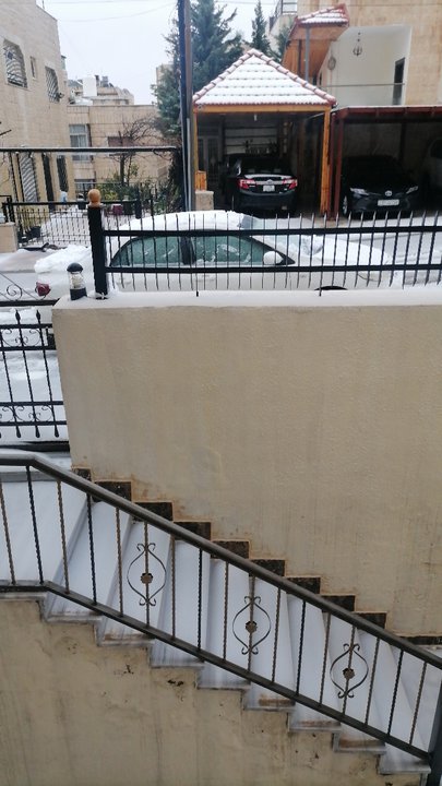 مشاركاتي في أنت الراصد