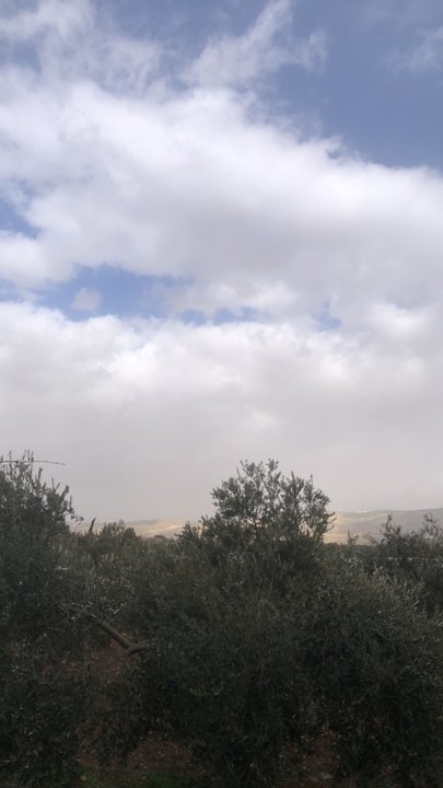 مشاركاتي في أنت الراصد